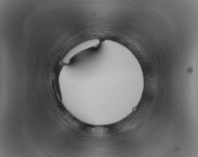 X0000097610225200803281021