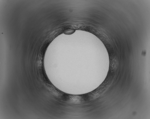 X0000097610226200803281021