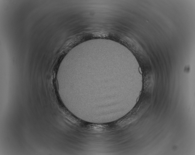 X0000097610229200803281021