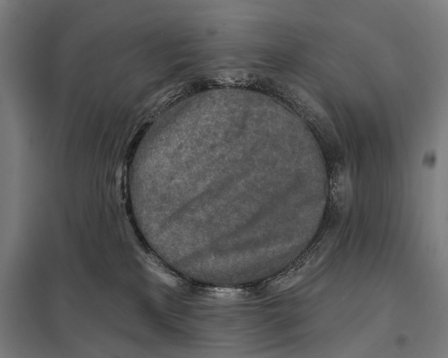 X0000097610233200803281021