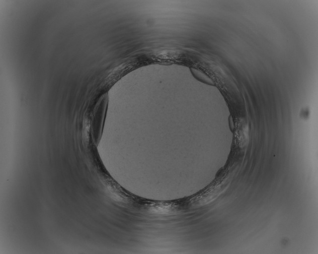 X0000097610235200803281021