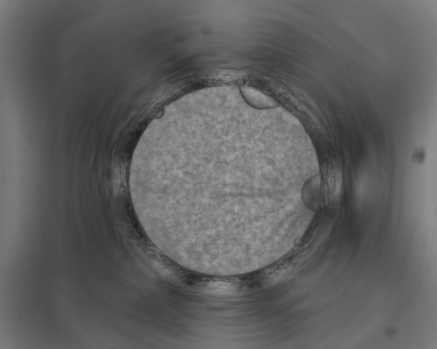 X0000097610236200803281021