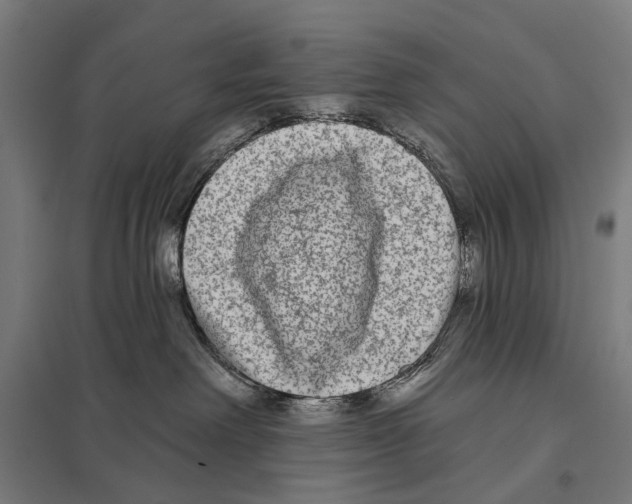 X0000097610238200803281021