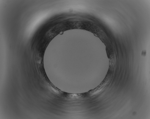 X0000097610239200803281021