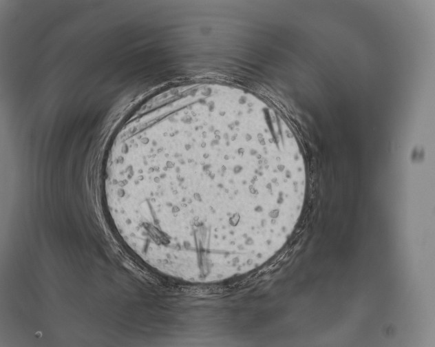 X0000097610241200803281020