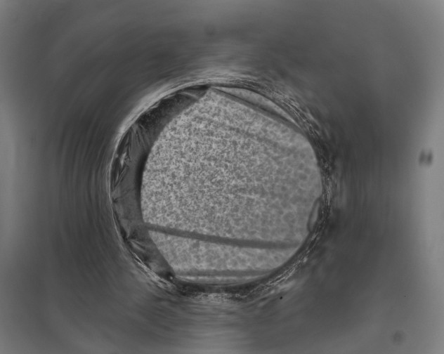 X0000097610244200803281020