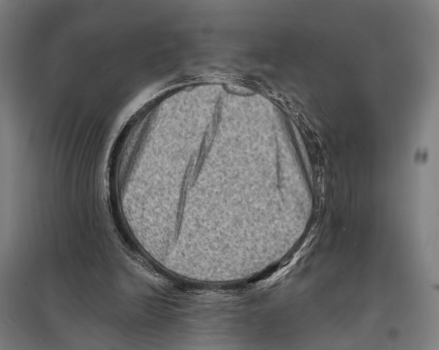 X0000097610246200803281020