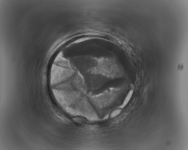 X0000097610247200803281020