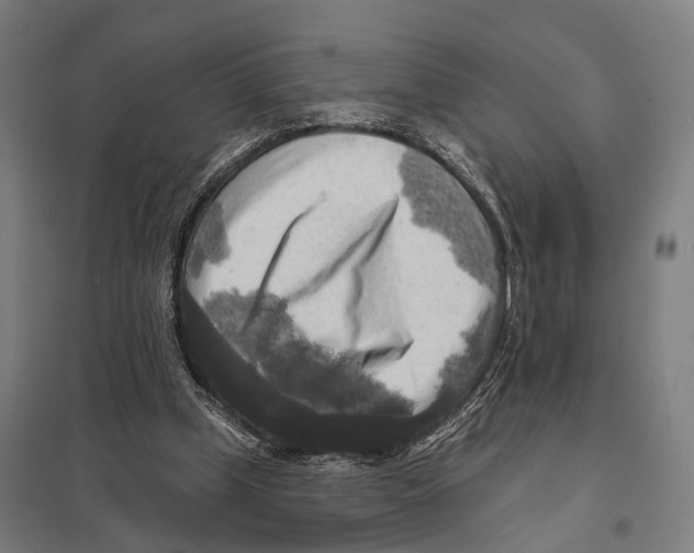 X0000097610249200803281020