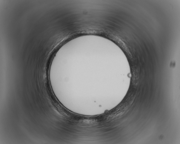 X0000097610251200803281020