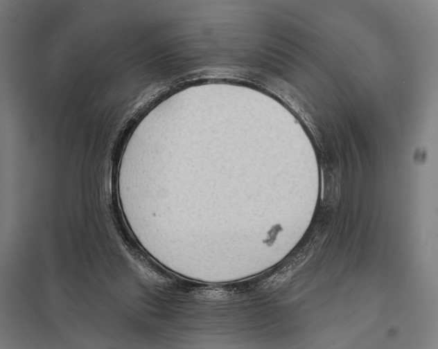 X0000097610253200803281020