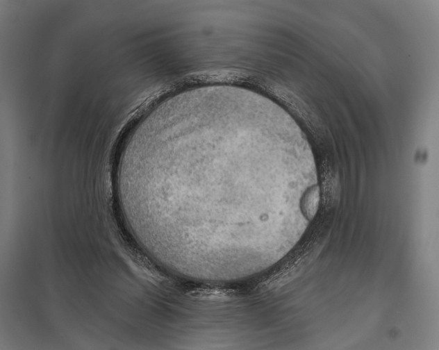 X0000097610254200803281020