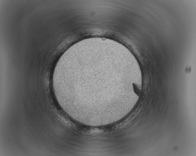 X0000097610257200803281020