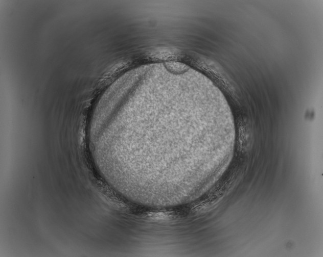 X0000097610259200803281020