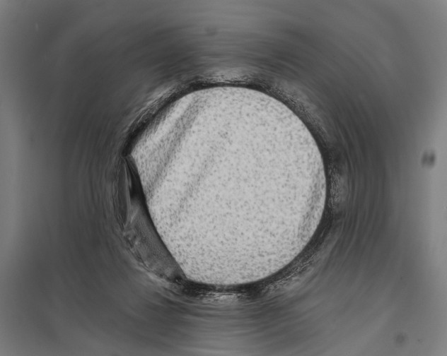 X0000097610260200803281020