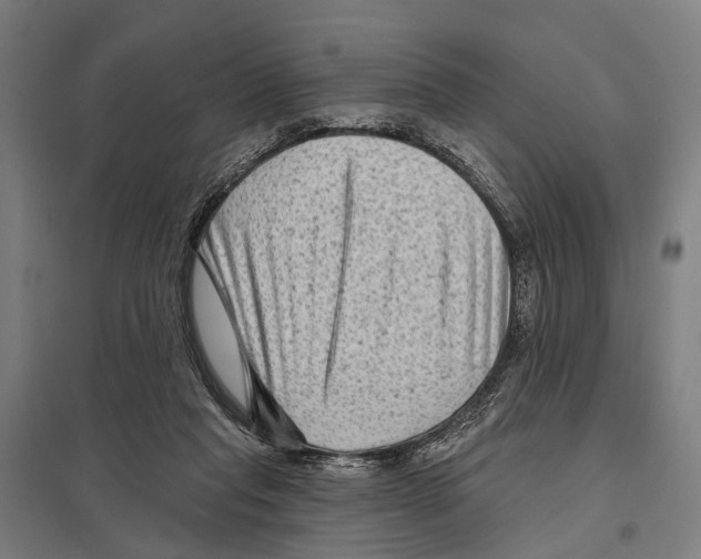 X0000097610261200803281020