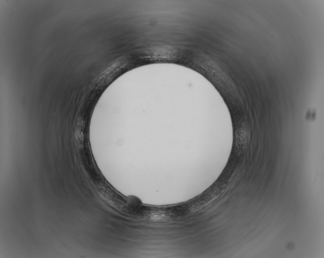 X0000097610264200803281020