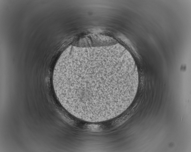 X0000097610265200803281020