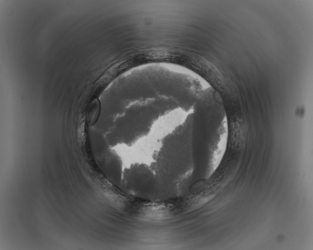 X0000097610267200803281020