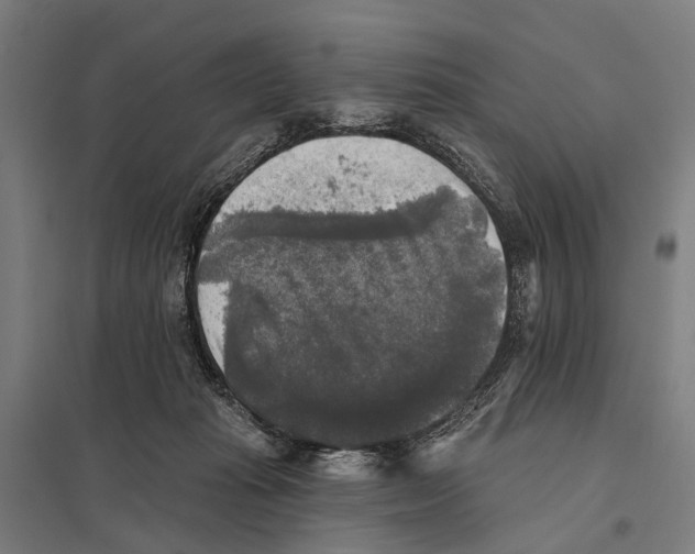 X0000097610269200803281020