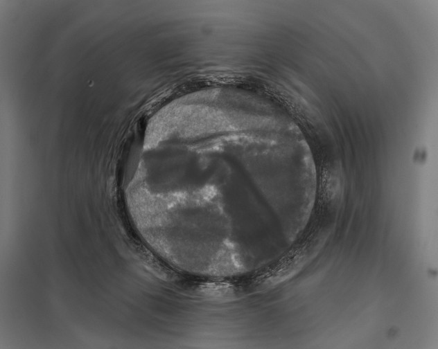 X0000097610271200803281020