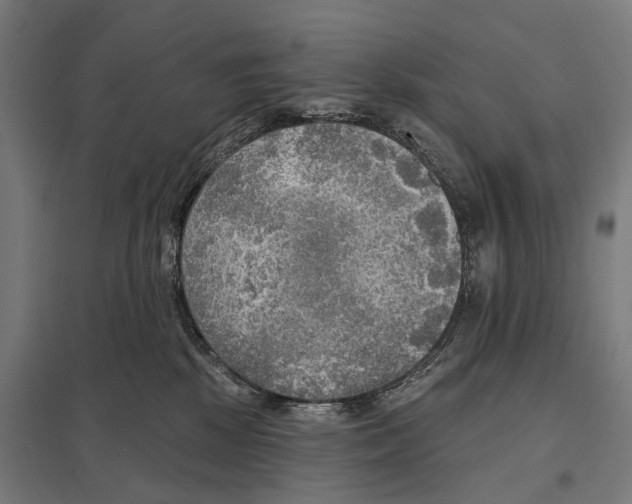 X0000097610281200803281020