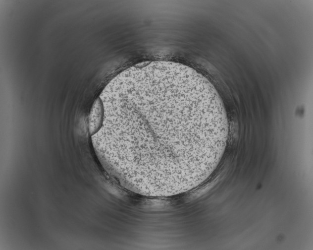 X0000097610286200803281020