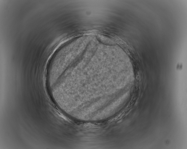 X0000097610290200803281020