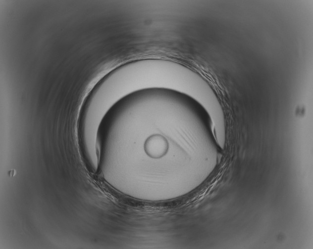 X0000097610292200803281020