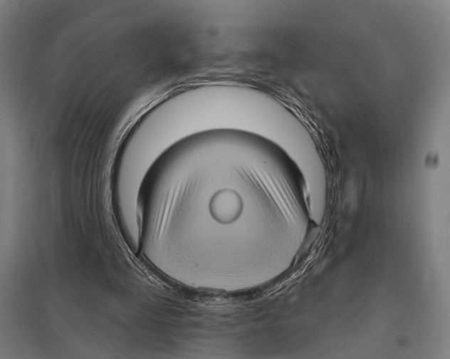 X0000097610293200803281020