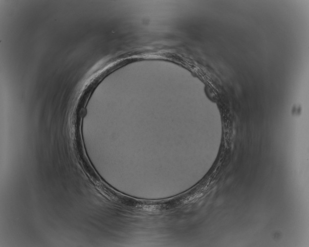 X0000097610295200803281020