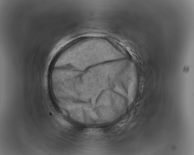 X0000097610296200803281020