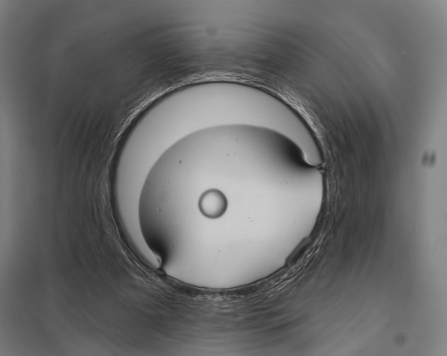 X0000097610297200803281020