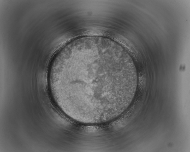 X0000097610302200803281020