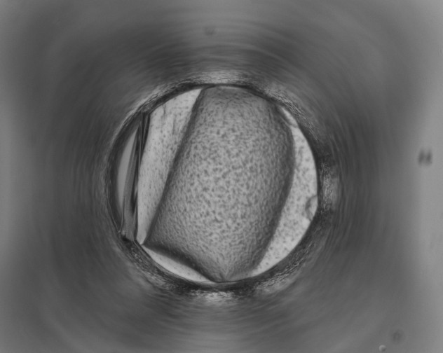 X0000097610304200803281020