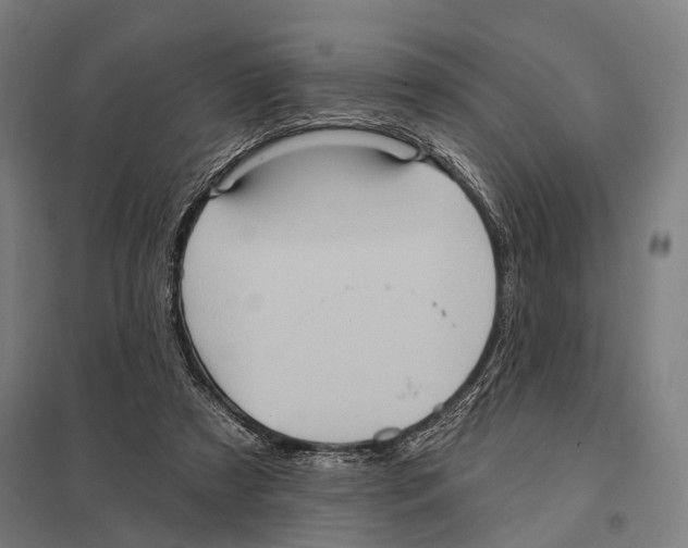 X0000097610305200803281020