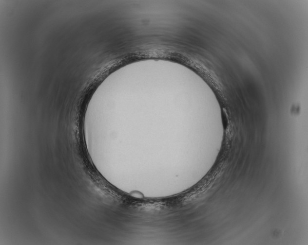 X0000097610306200803281020