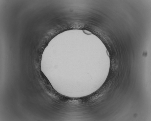 X0000097610307200803281020