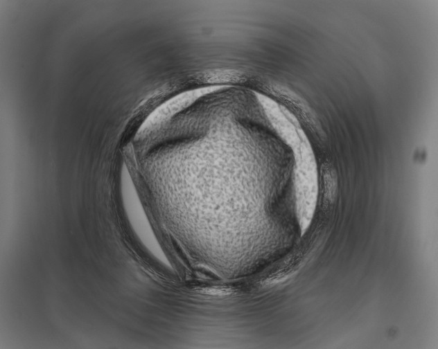 X0000097610308200803281020