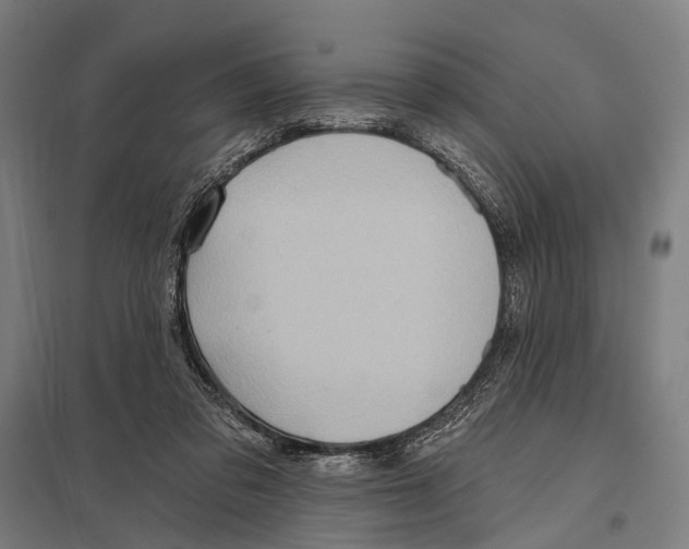 X0000097610309200803281020