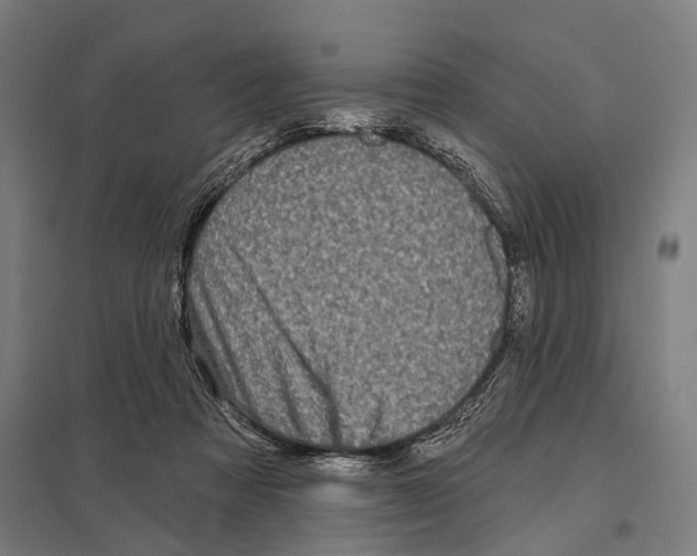 X0000097610313200803281019