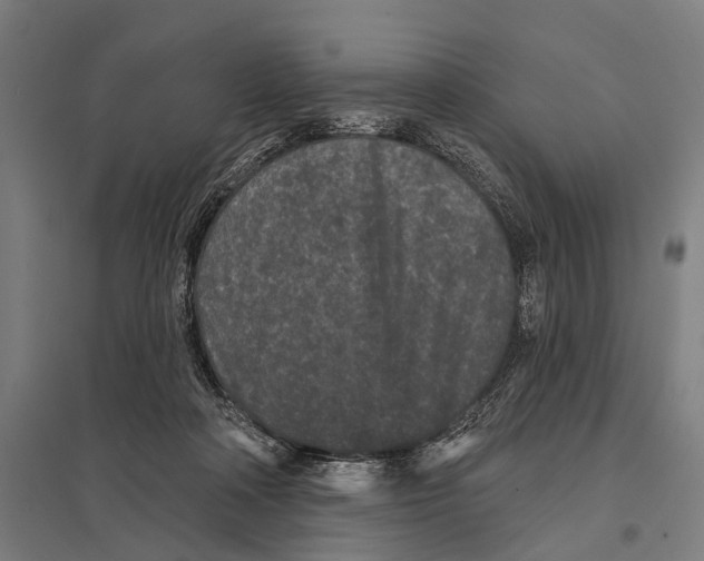 X0000097610314200803281019