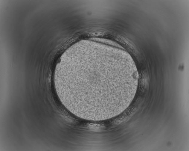 X0000097610315200803281019