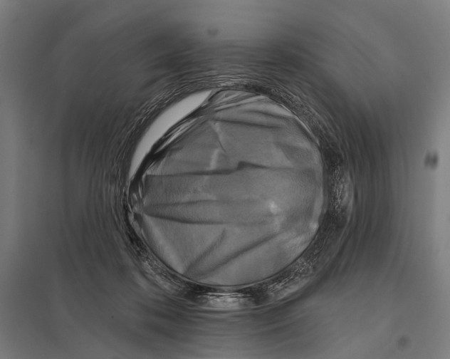 X0000097610316200803281019