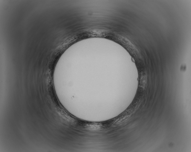 X0000097610318200803281019