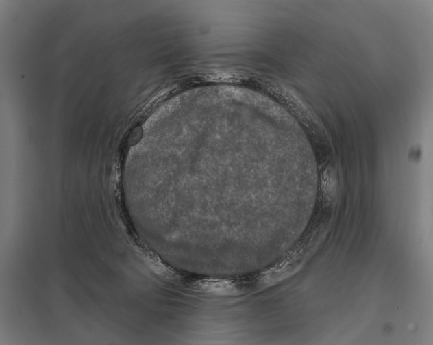 X0000097610322200803281019