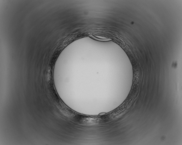 X0000097610323200803281019