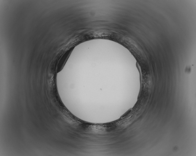 X0000097610327200803281019