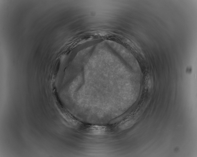 X0000097610328200803281019