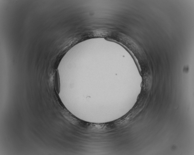 X0000097610329200803281019